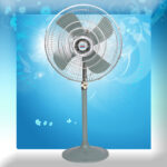 Pedestal Fan
