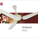 Antique Fan